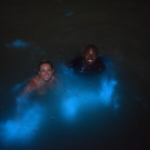 648fa33f-1c0f-42ca-99d6-24546ff55ee5