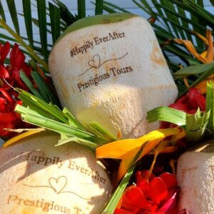 c24bbc28-2ba5-4057-b1d5-4f1c85eaf63e