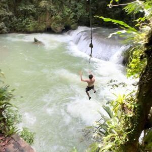 ffa788a1-9ab9-4c00-abeb-50d868a12544