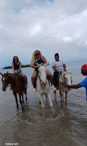 2f522c17-4a53-4914-9804-966581bb04e8